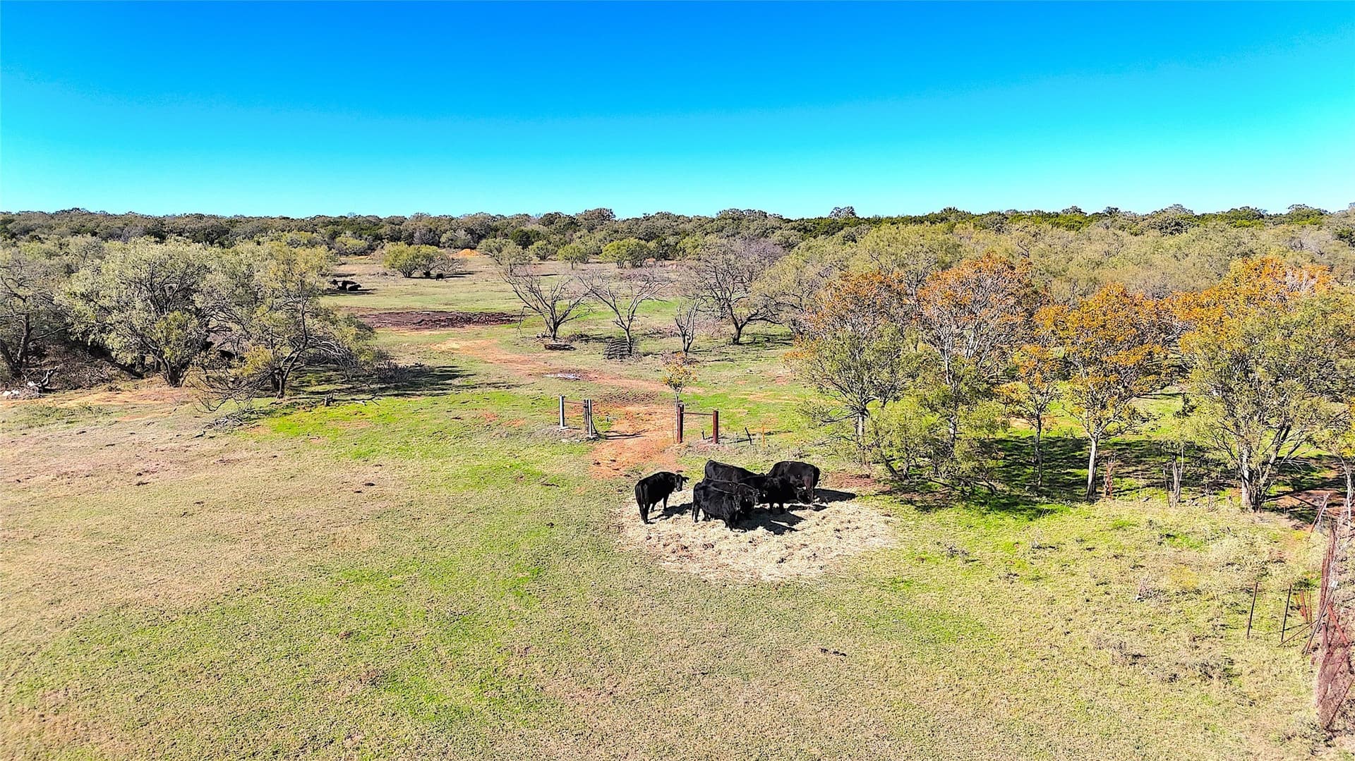 5 acres in Palo Pinto County - photo 4