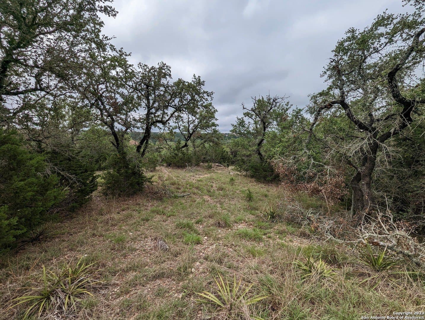 1.13 acres in Comal County featured view