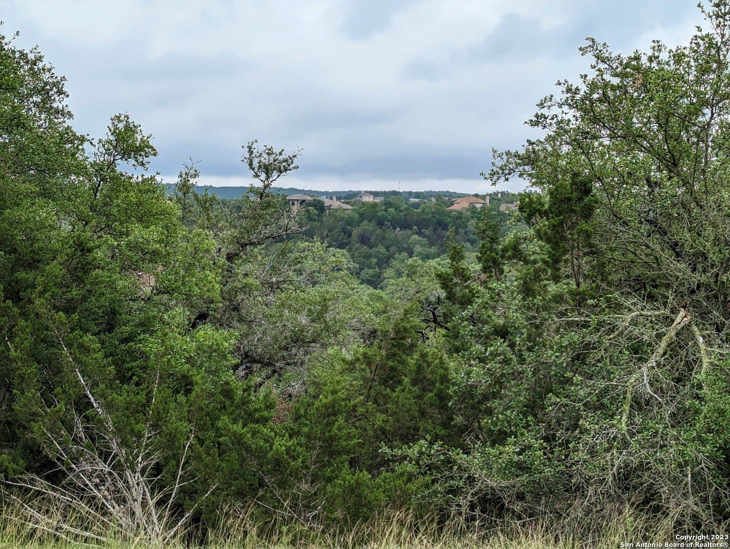 1.13 acres in Comal County gallery image 4