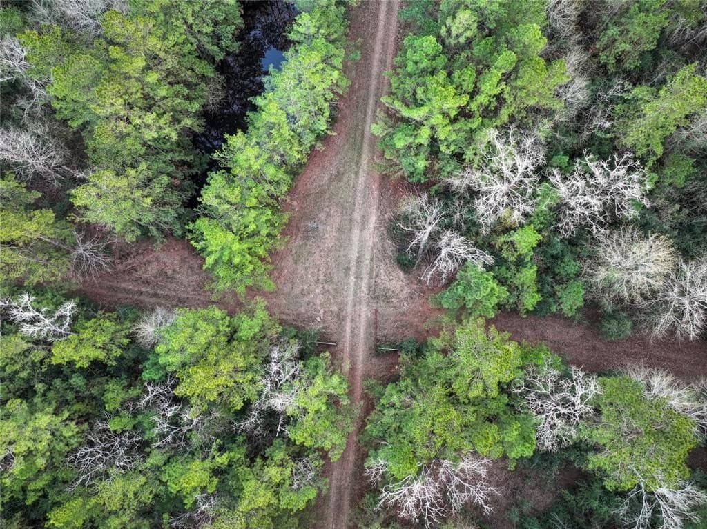 70 acres in Polk County featured view