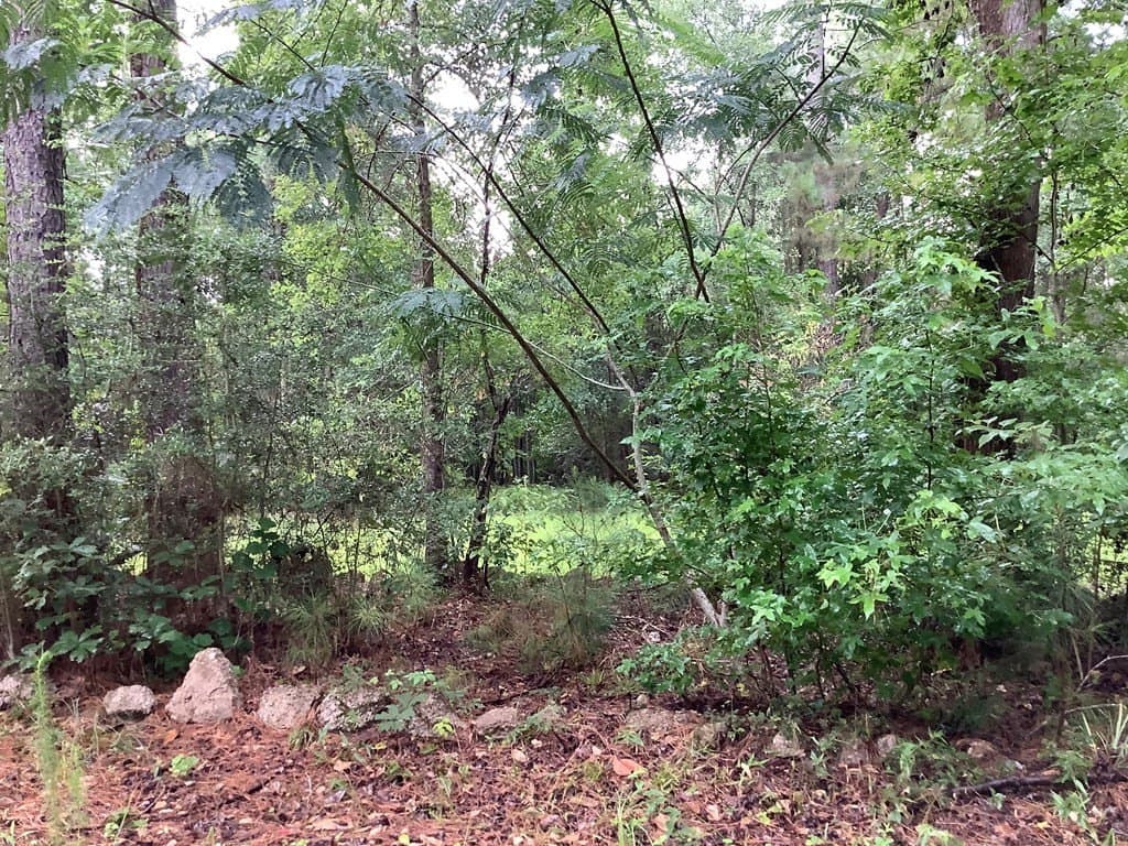 18.3 acres in Texas County gallery image 3