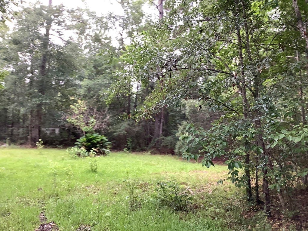 18.3 acres in Texas County gallery image 4