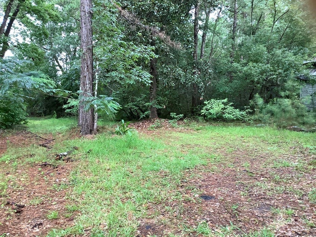 18.3 acres in Texas County - photo 11