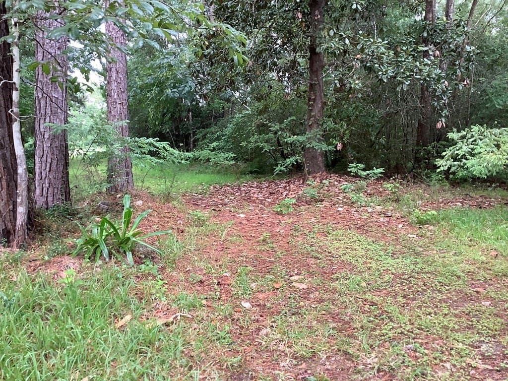 18.3 acres in Texas County featured view