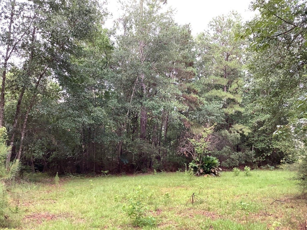 18.3 acres in Texas County - photo 6