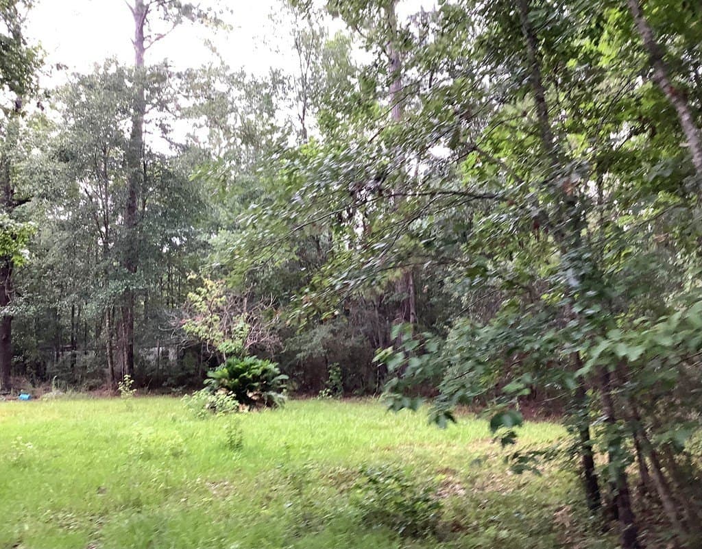 18.3 acres in Texas County gallery image 2