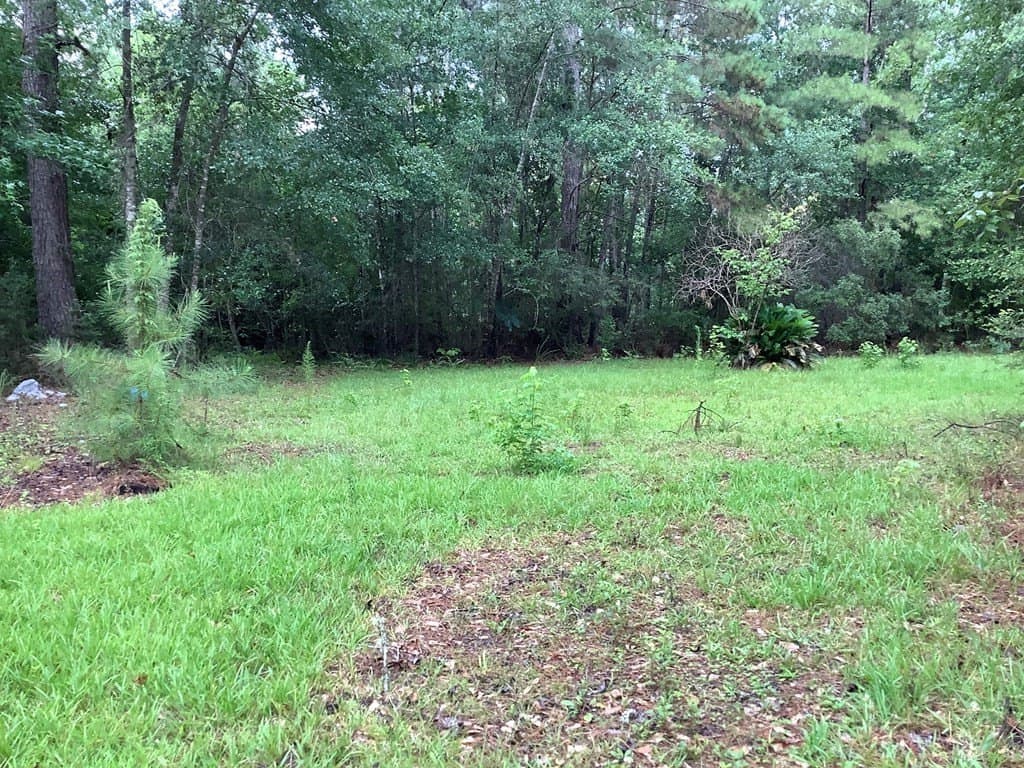18.3 acres in Texas County - photo 9