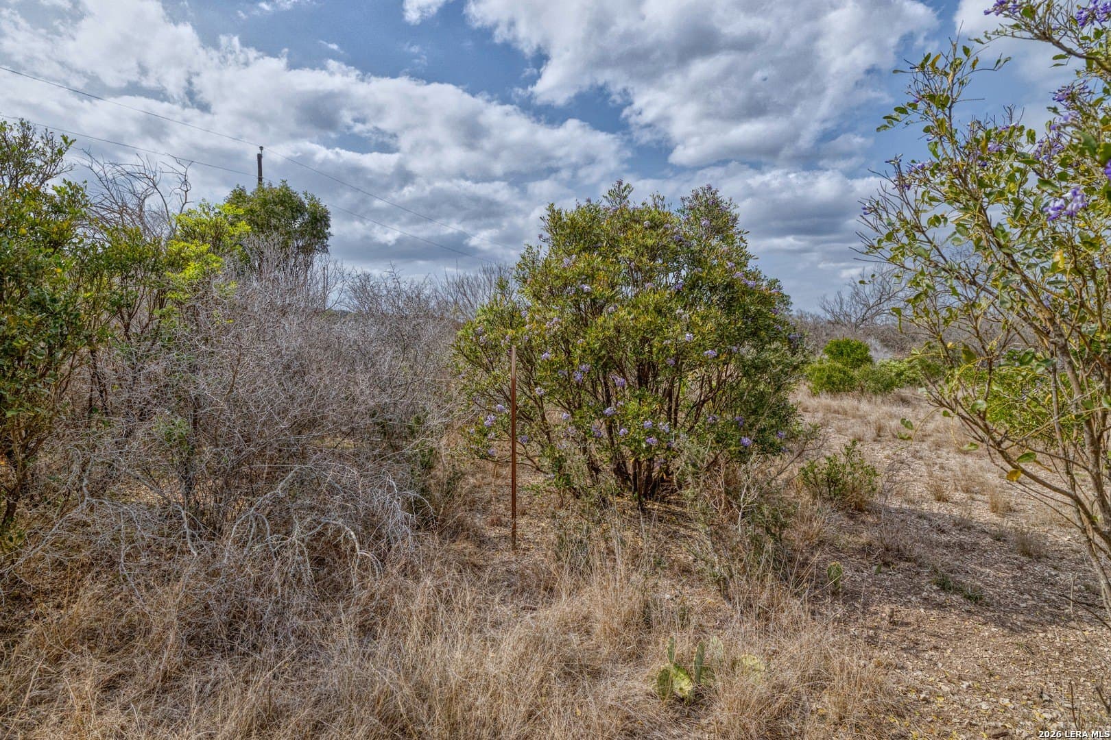 2.03 acres in Uvalde County - photo 16