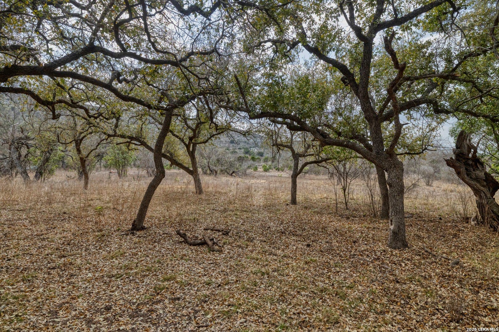 2.03 acres in Uvalde County - photo 12