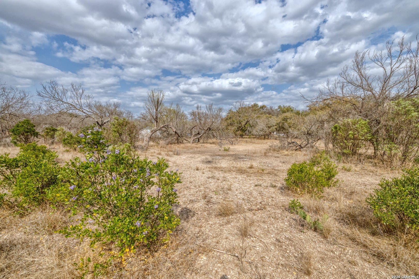 2.03 acres in Uvalde County - photo 17