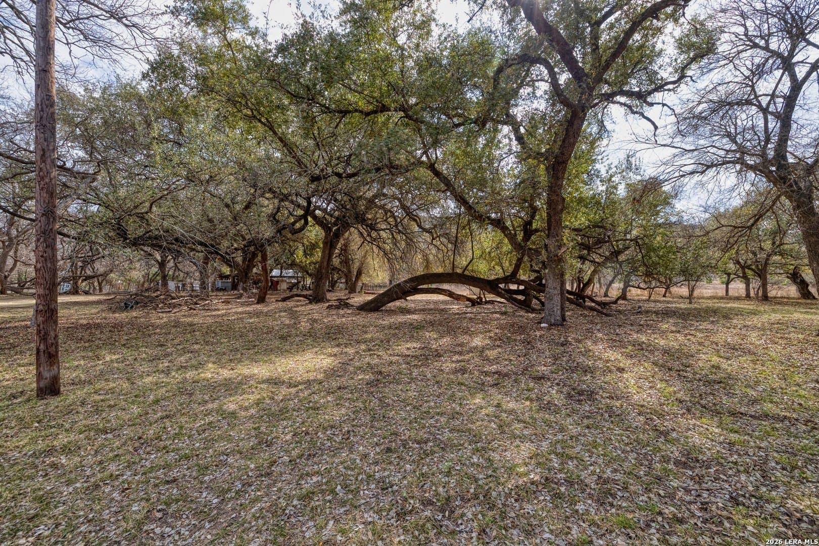 2.03 acres in Uvalde County - photo 9
