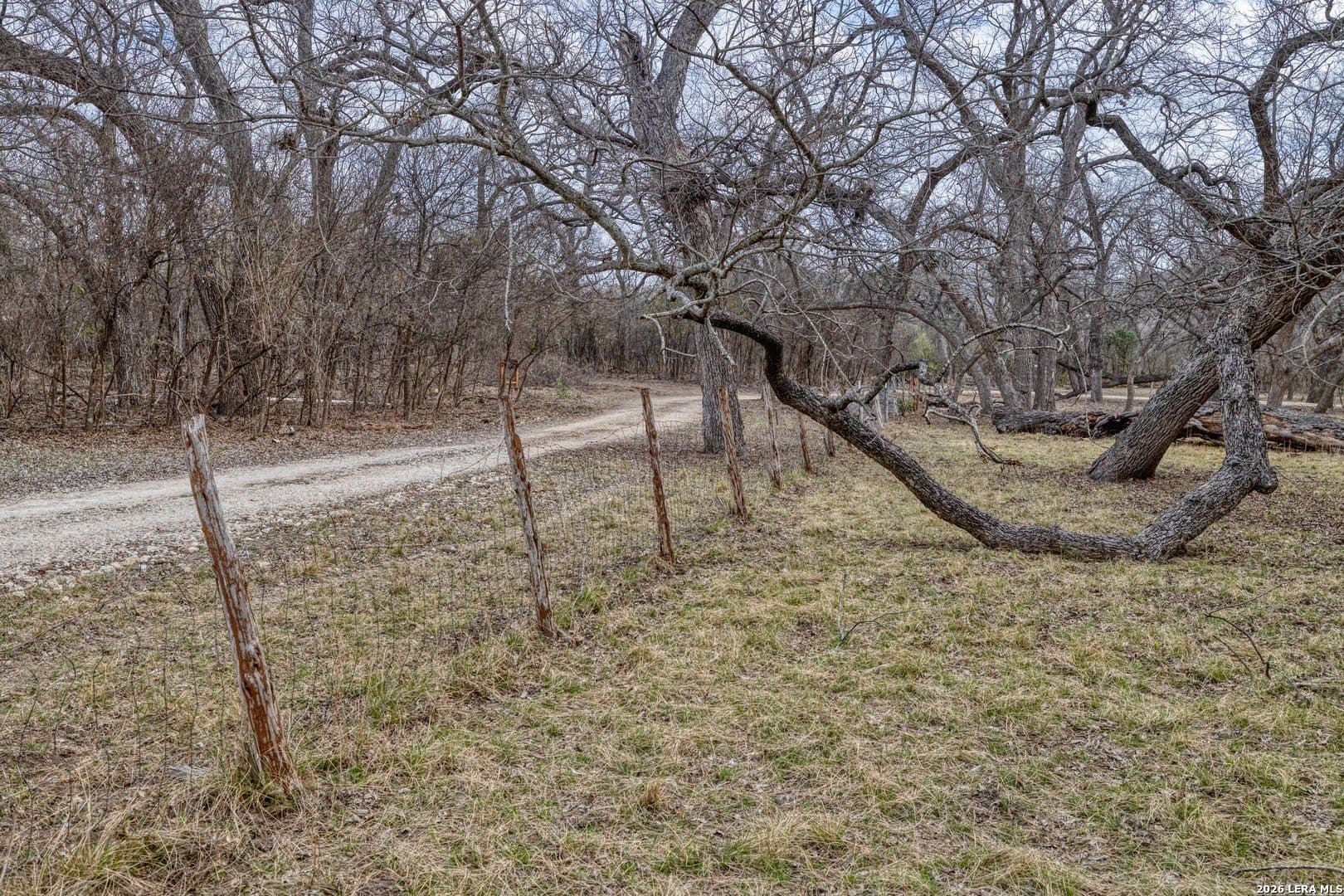 2.03 acres in Uvalde County gallery image 4