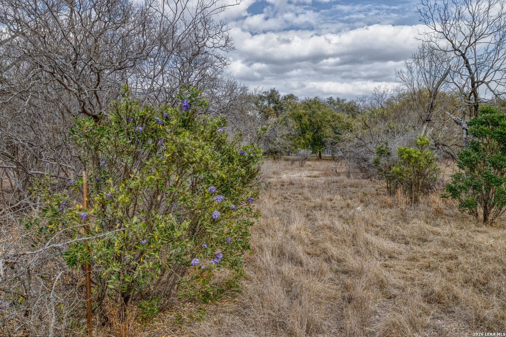 2.03 acres in Uvalde County - photo 18