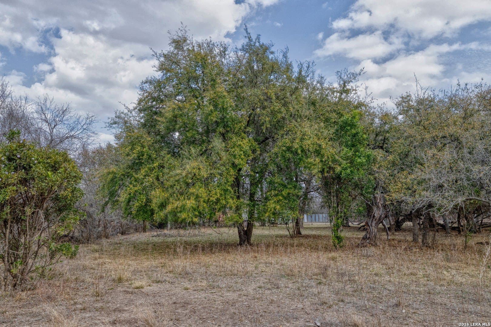 2.03 acres in Uvalde County - photo 8