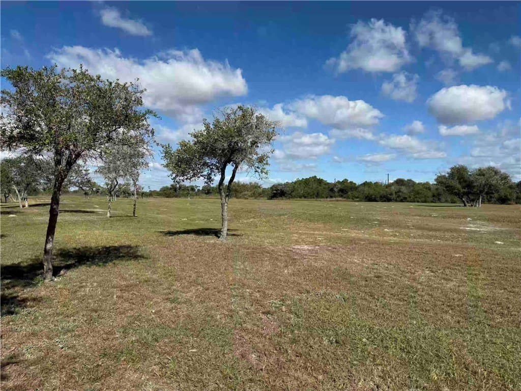 0.12 acres in San Patricio County - photo 13