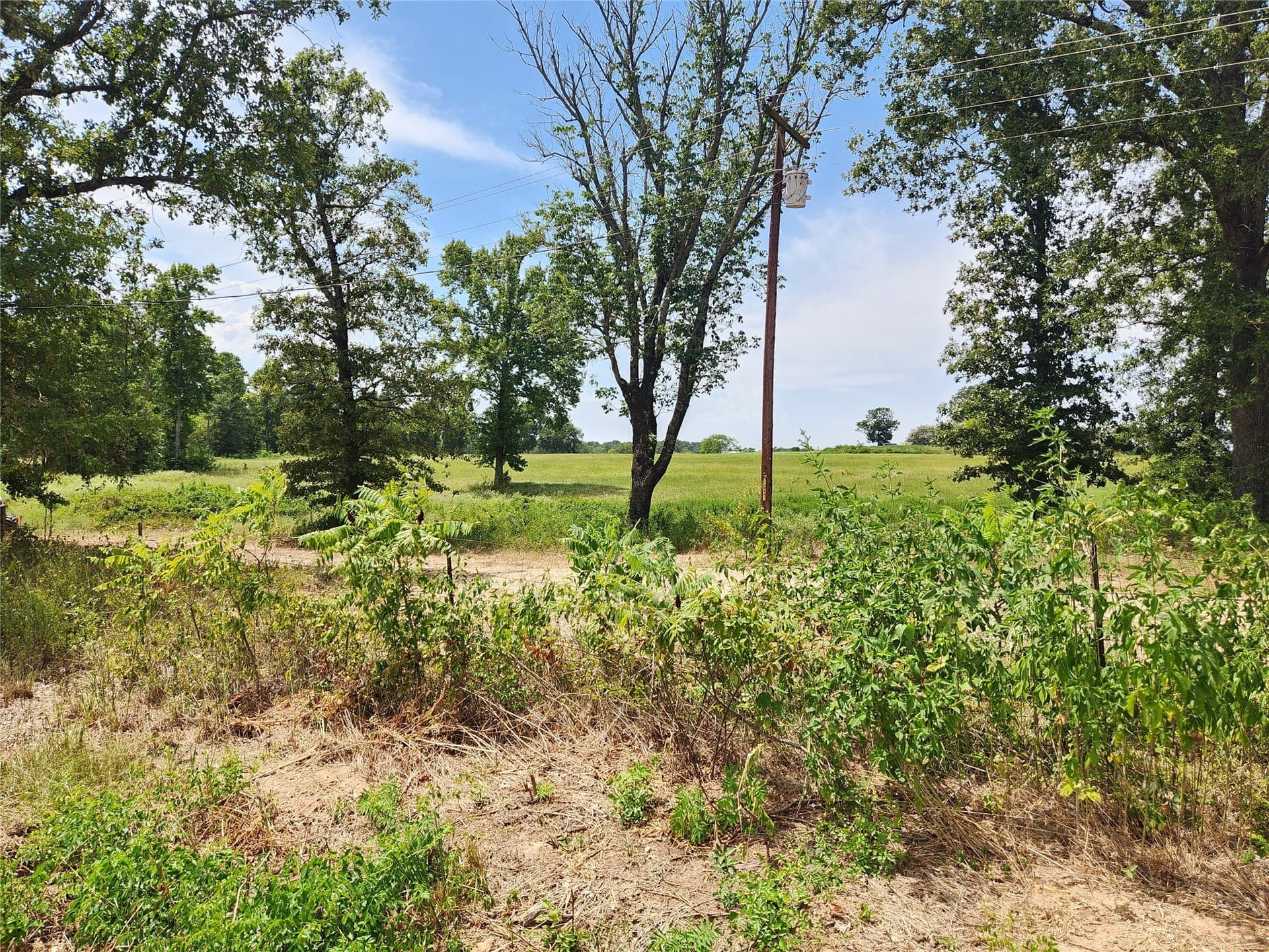4.61 acres in Titus County - photo 3