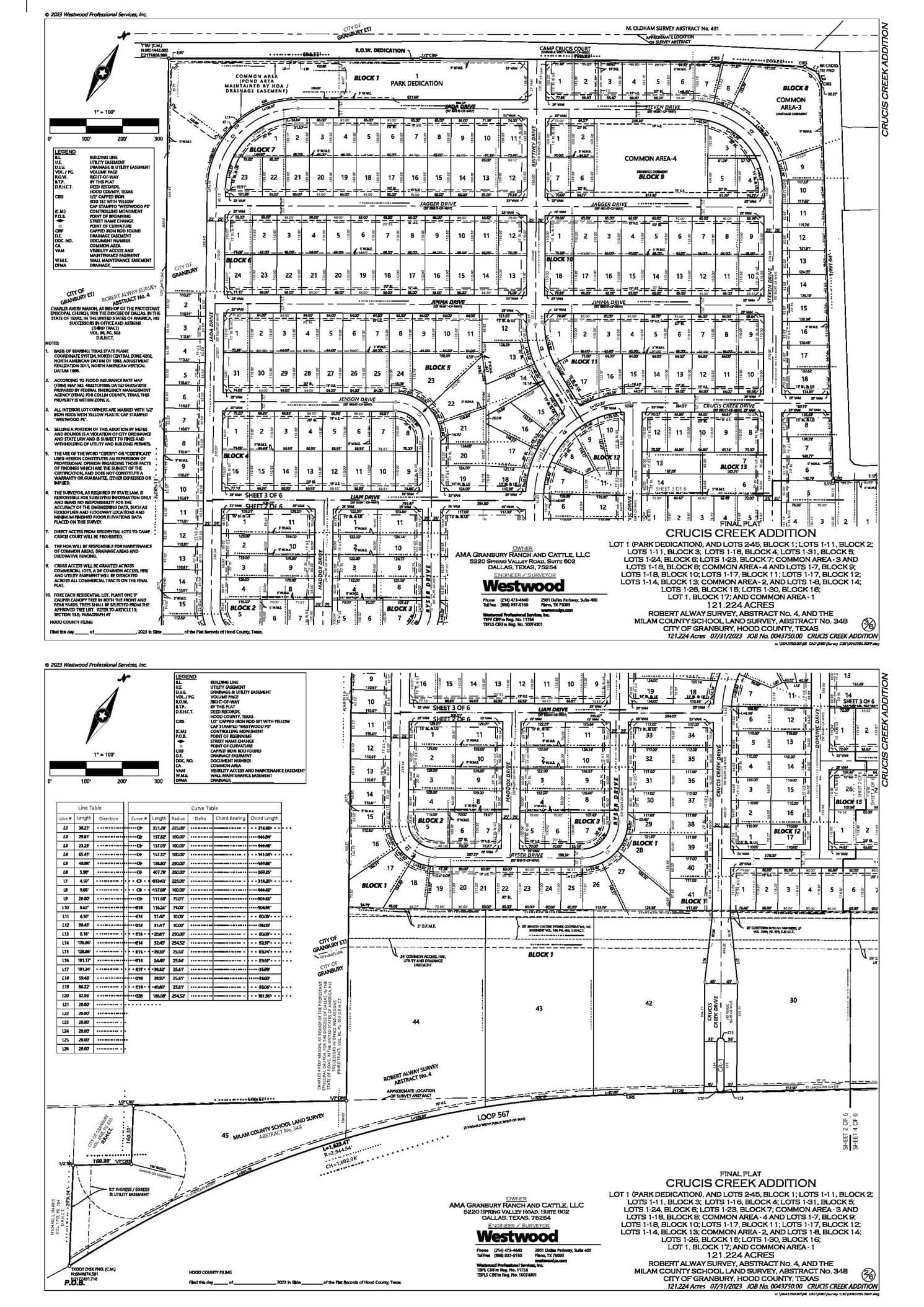 80.71 acres in Hood County gallery image 3
