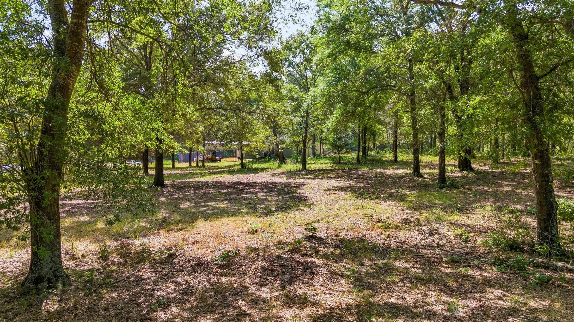 21.05 acres in Van Zandt County - photo 6