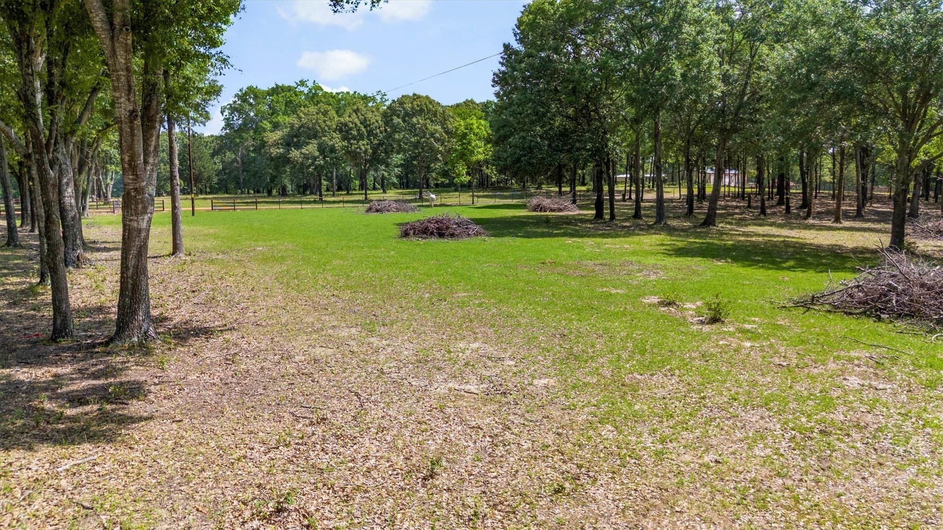21.05 acres in Van Zandt County - photo 7