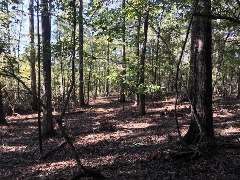 31.24 acres in Texas County featured view