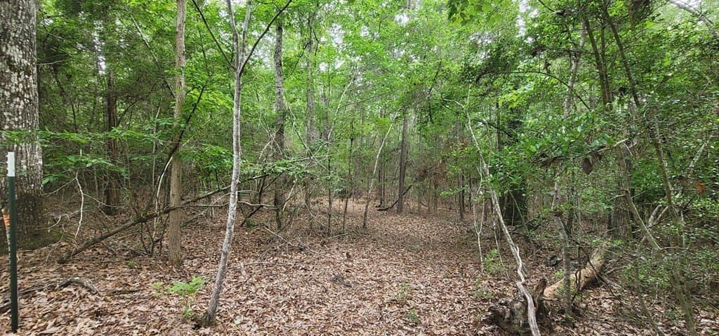 31.24 acres in Texas County gallery image 4
