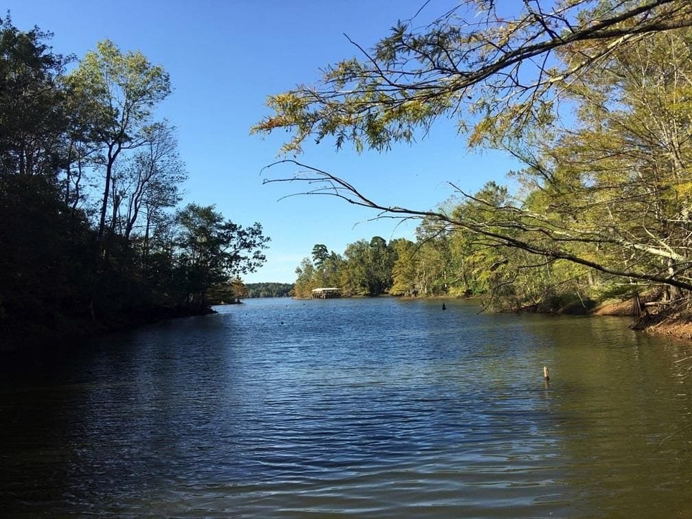 31.24 acres in Texas County