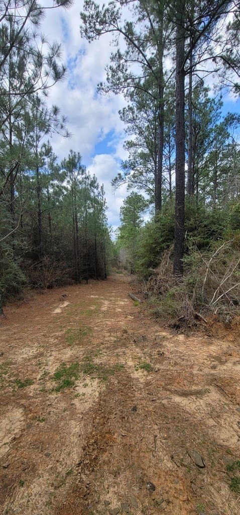 31.24 acres in Texas County gallery image 3