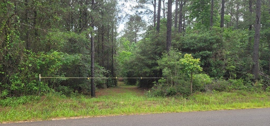 31.24 acres in Texas County gallery image 2
