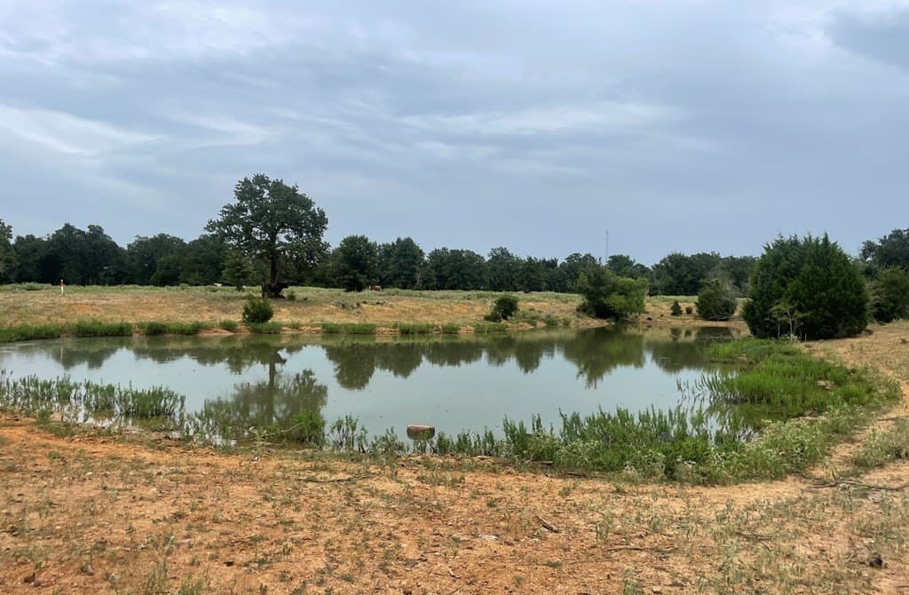 14.31 acres in LIMESTONE County featured view