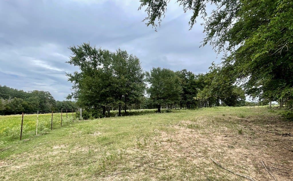 14.31 acres in LIMESTONE County gallery image 2