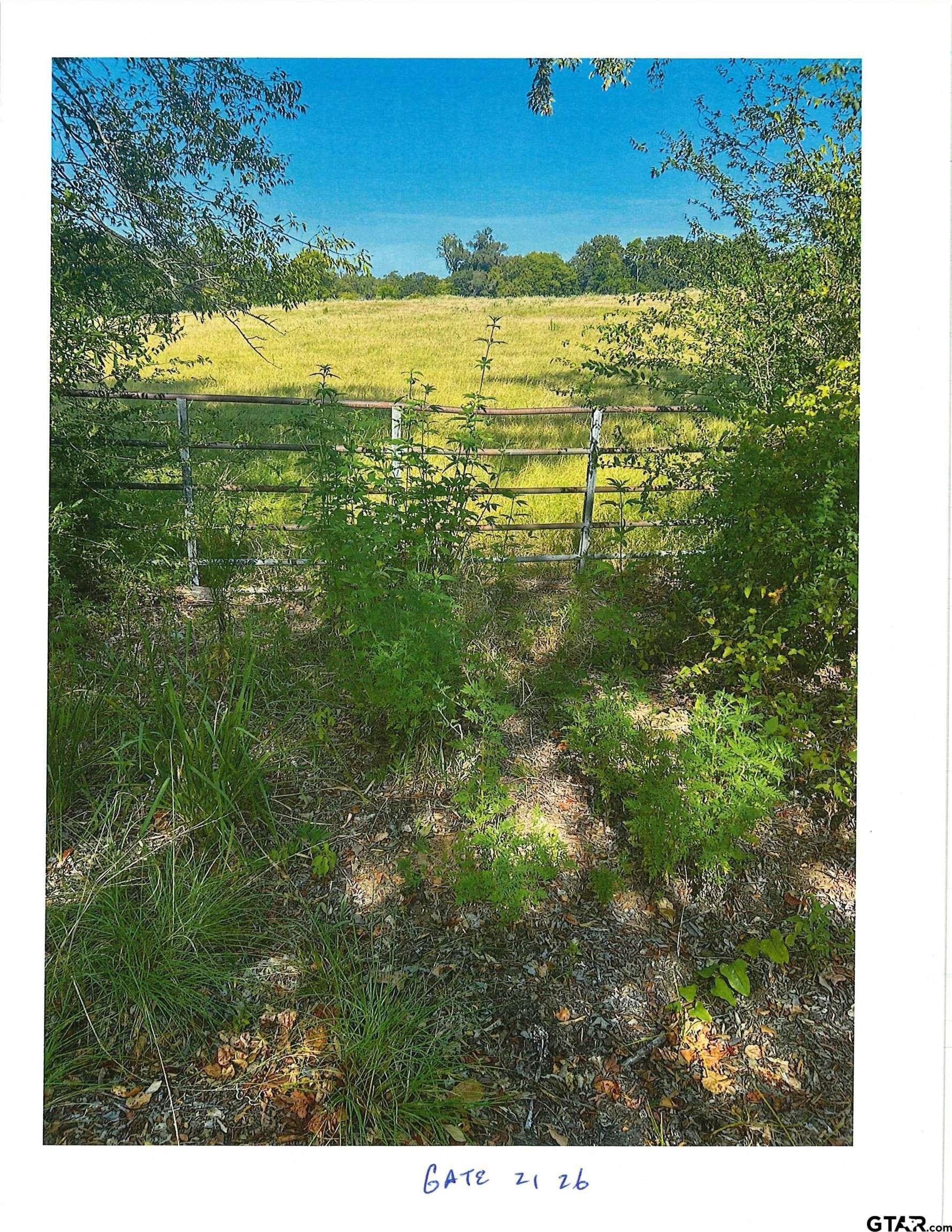 88.63 acres in Smith County - photo 7