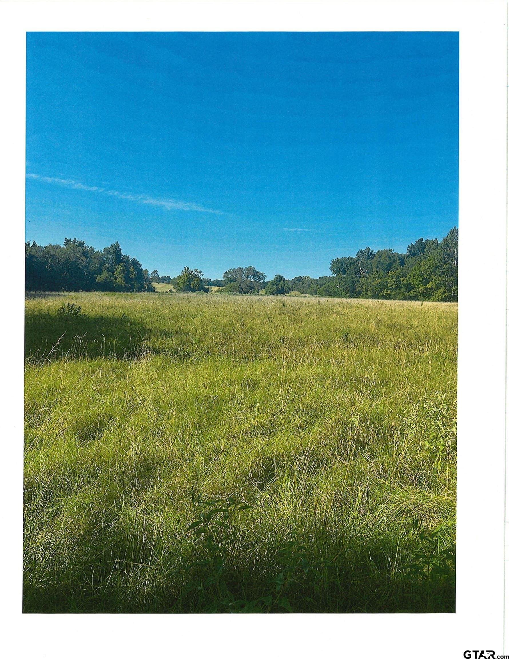 88.63 acres in Smith County - photo 6