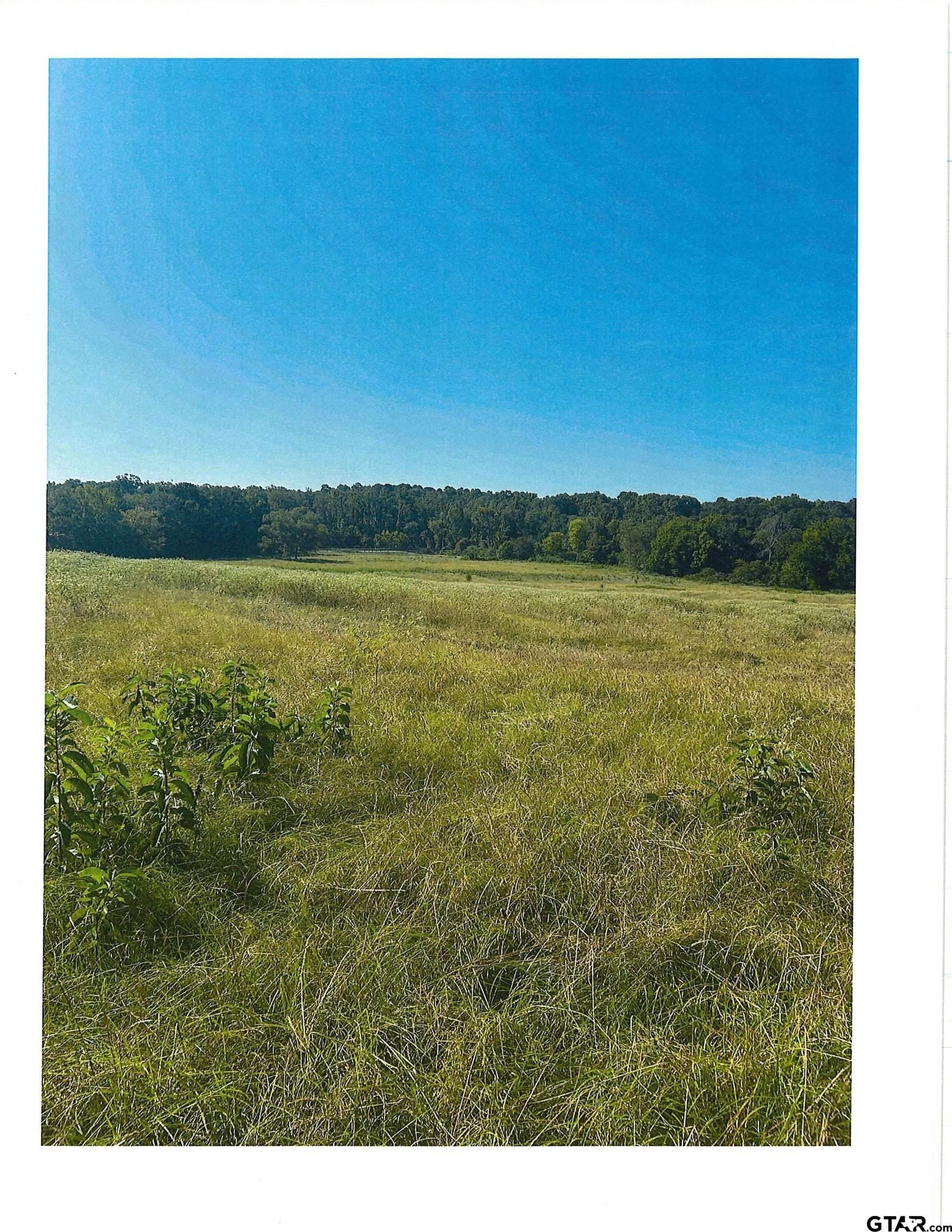 88.63 acres in Smith County - photo 4