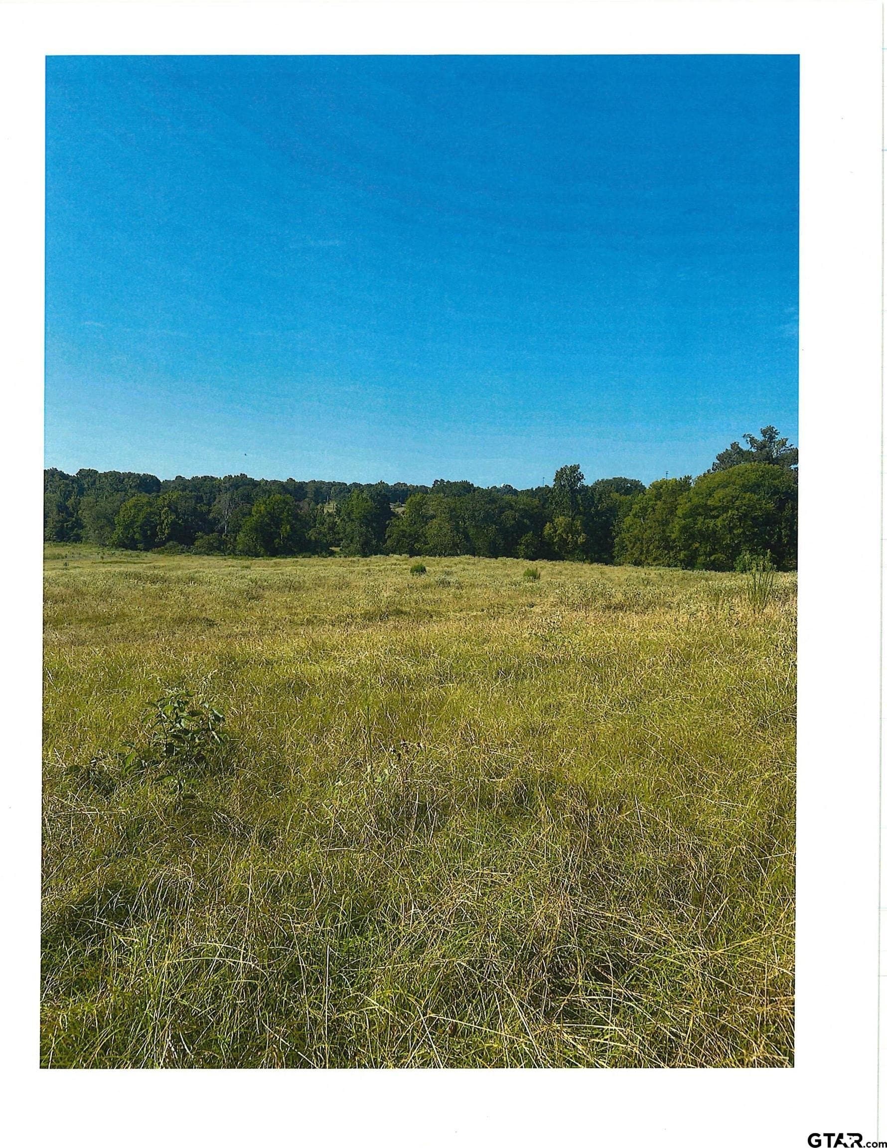 88.63 acres in Smith County - photo 5