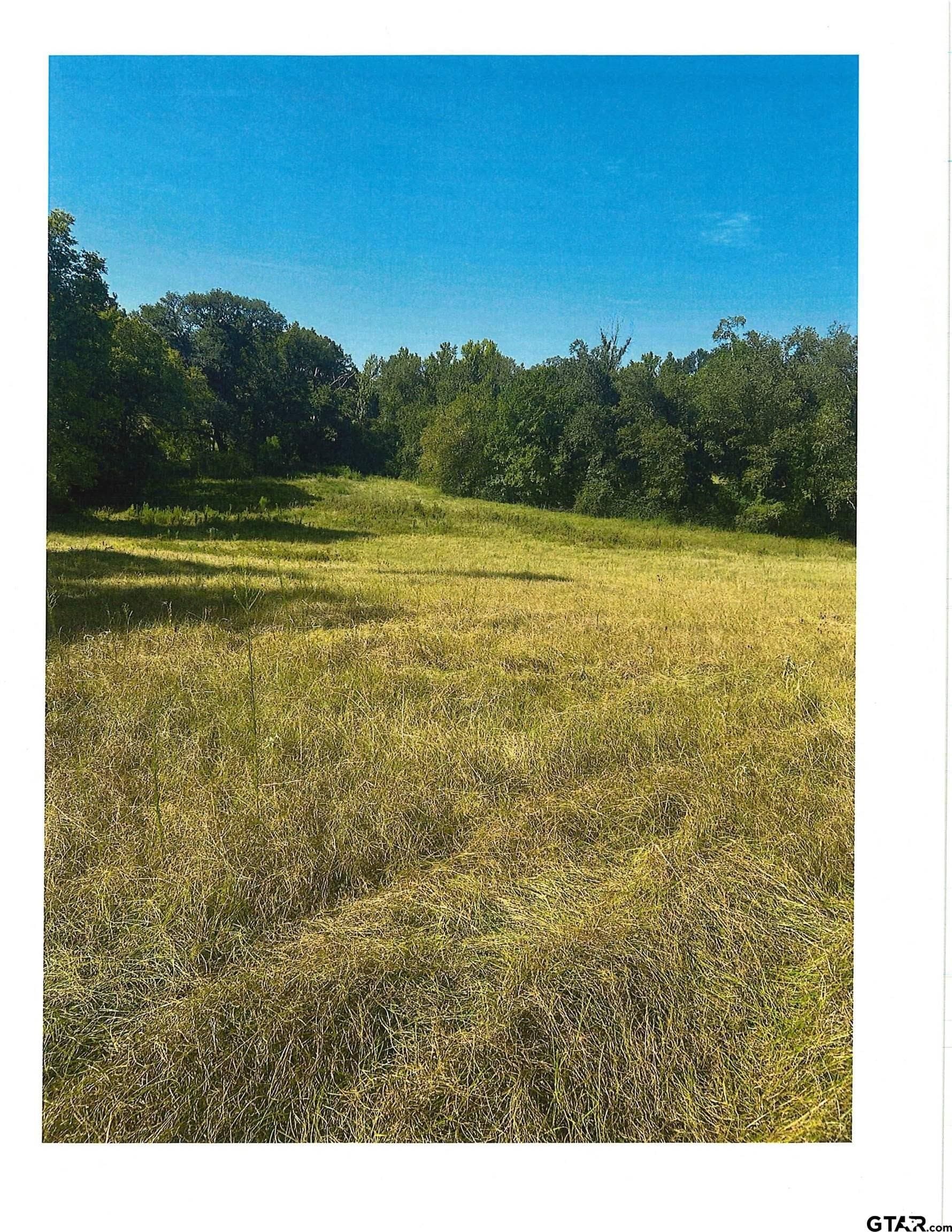 88.63 acres in Smith County - photo 3
