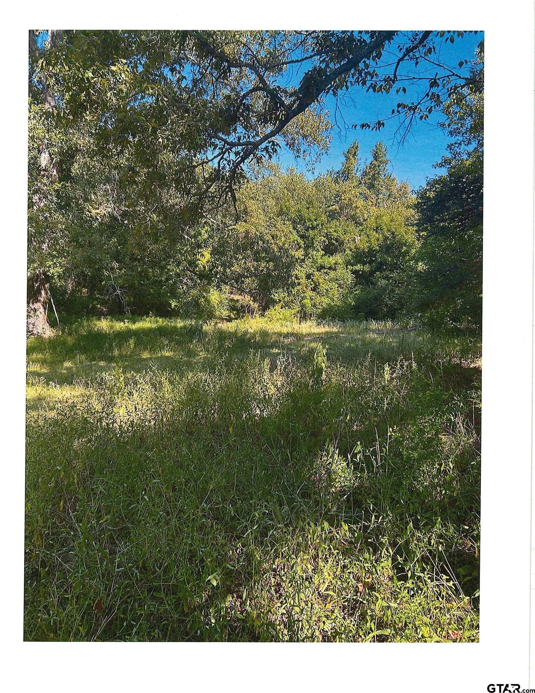 88.63 acres in Smith County - photo 2
