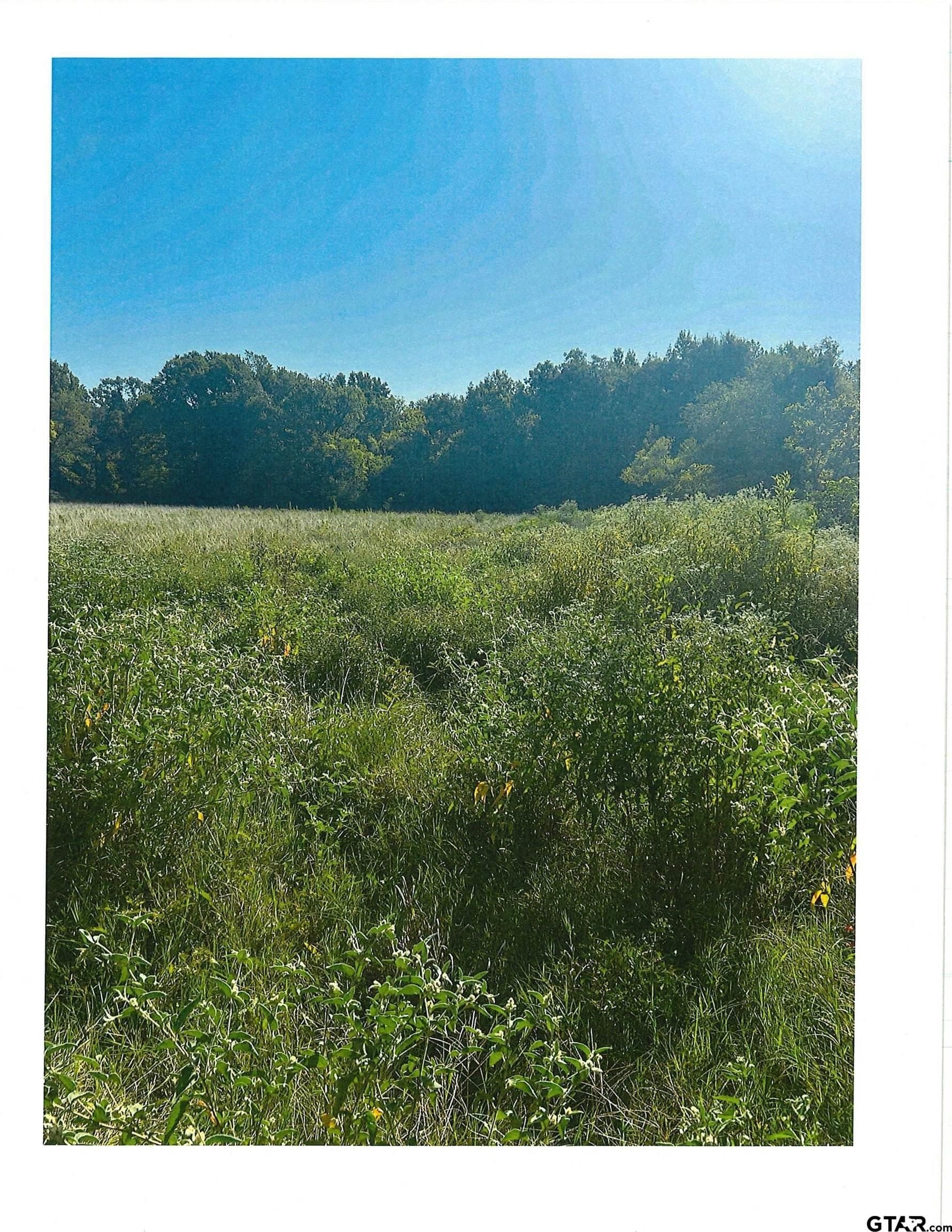 88.63 acres in Smith County - photo 13