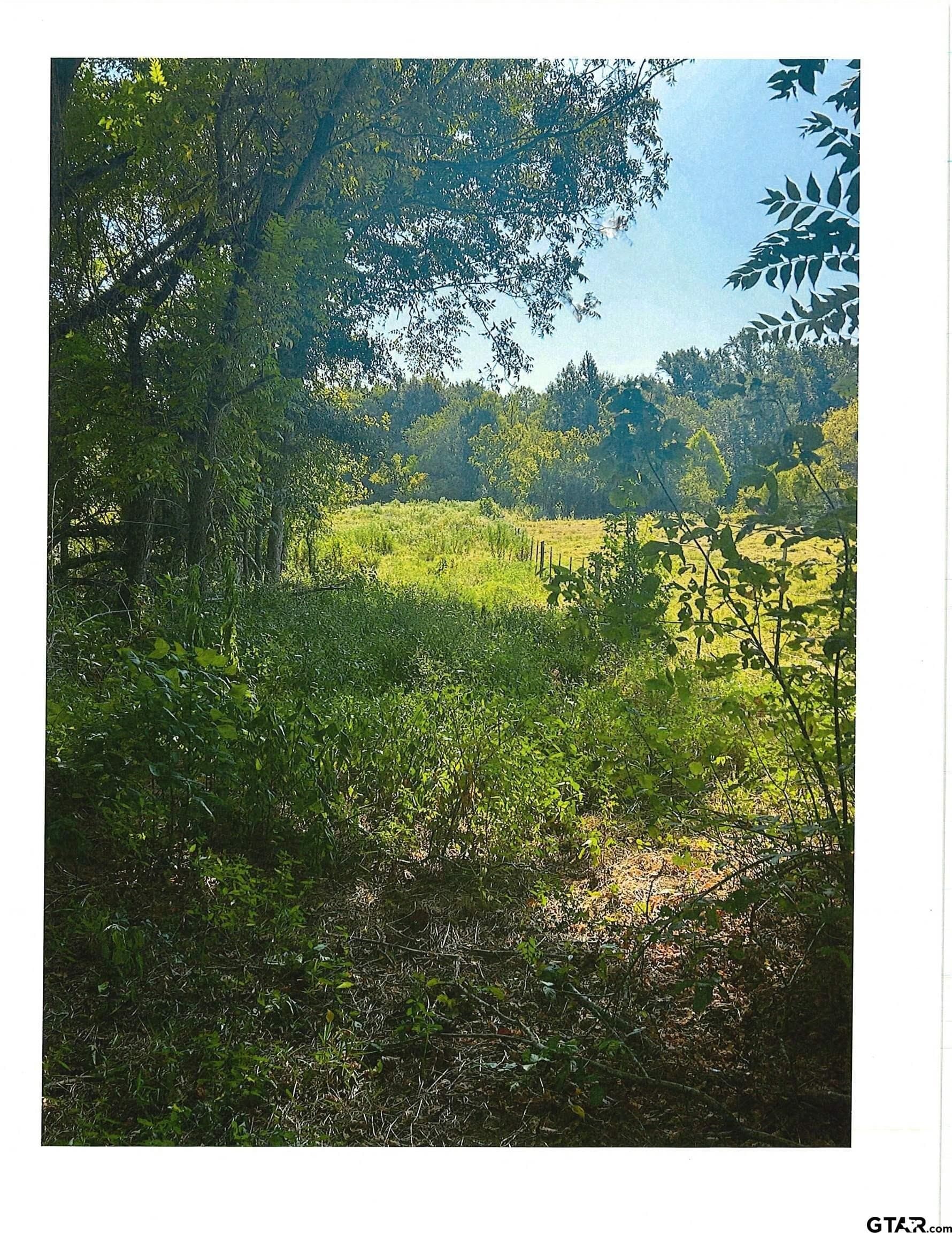 88.63 acres in Smith County - photo 9