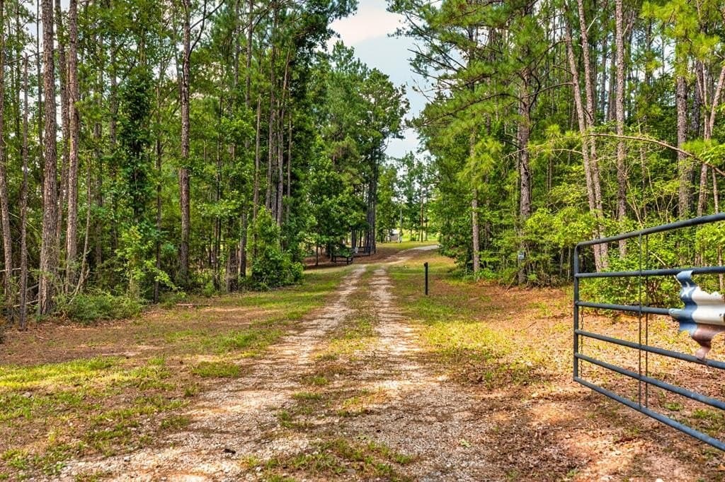45.6 acres in Texas County - photo 34
