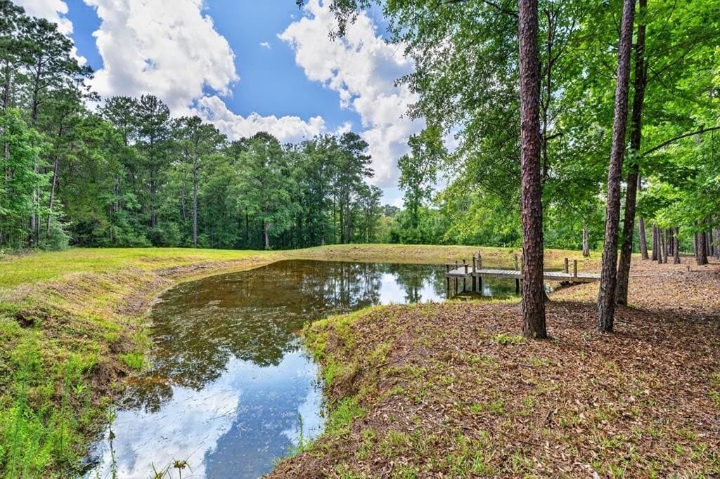 45.6 acres in Texas County - photo 30