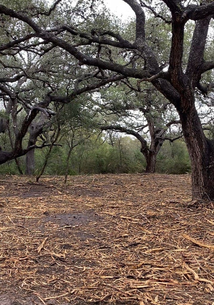 13.53 acres in Texas County gallery image 2