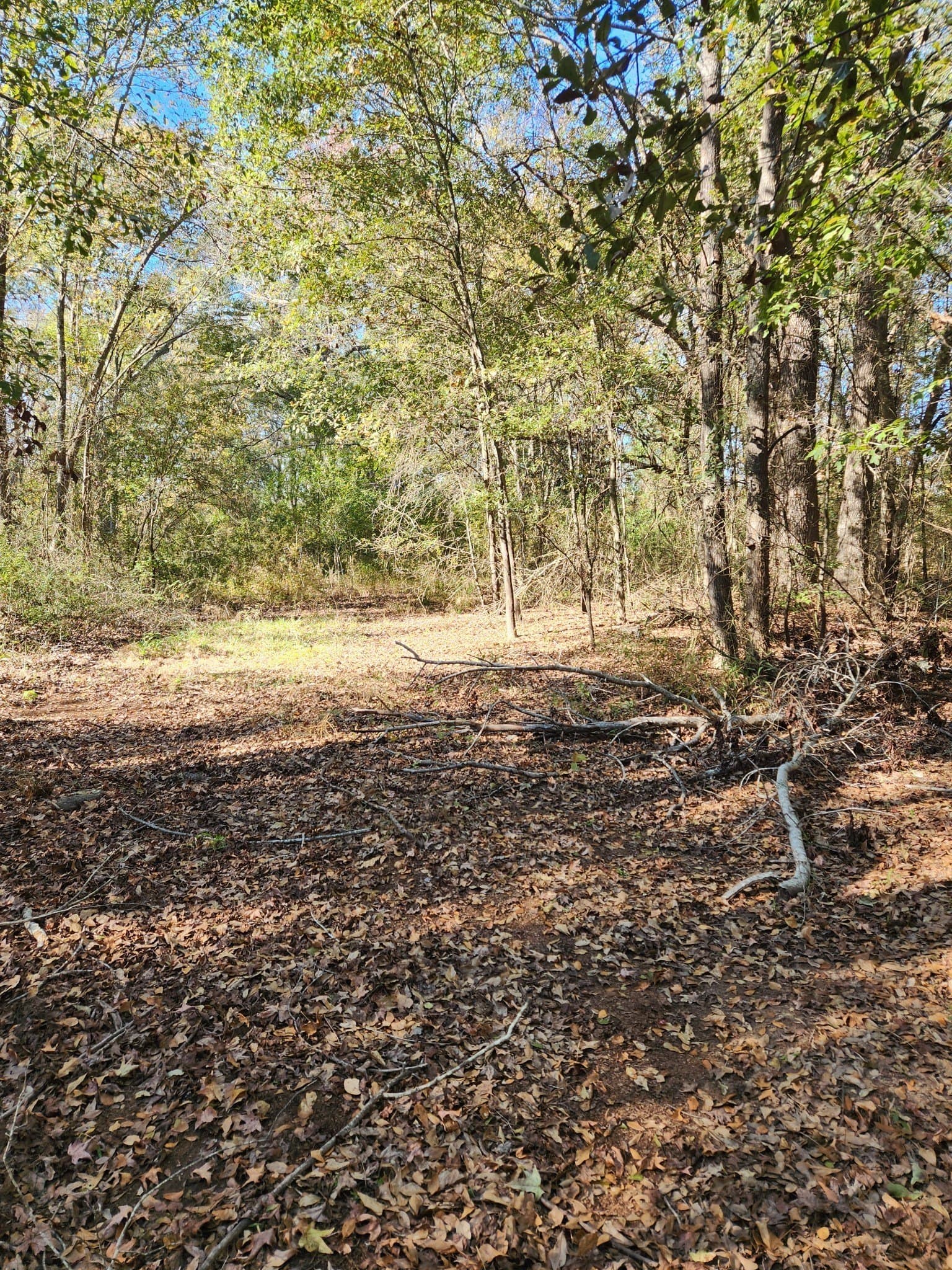 4.41 acres in Henderson County - photo 14