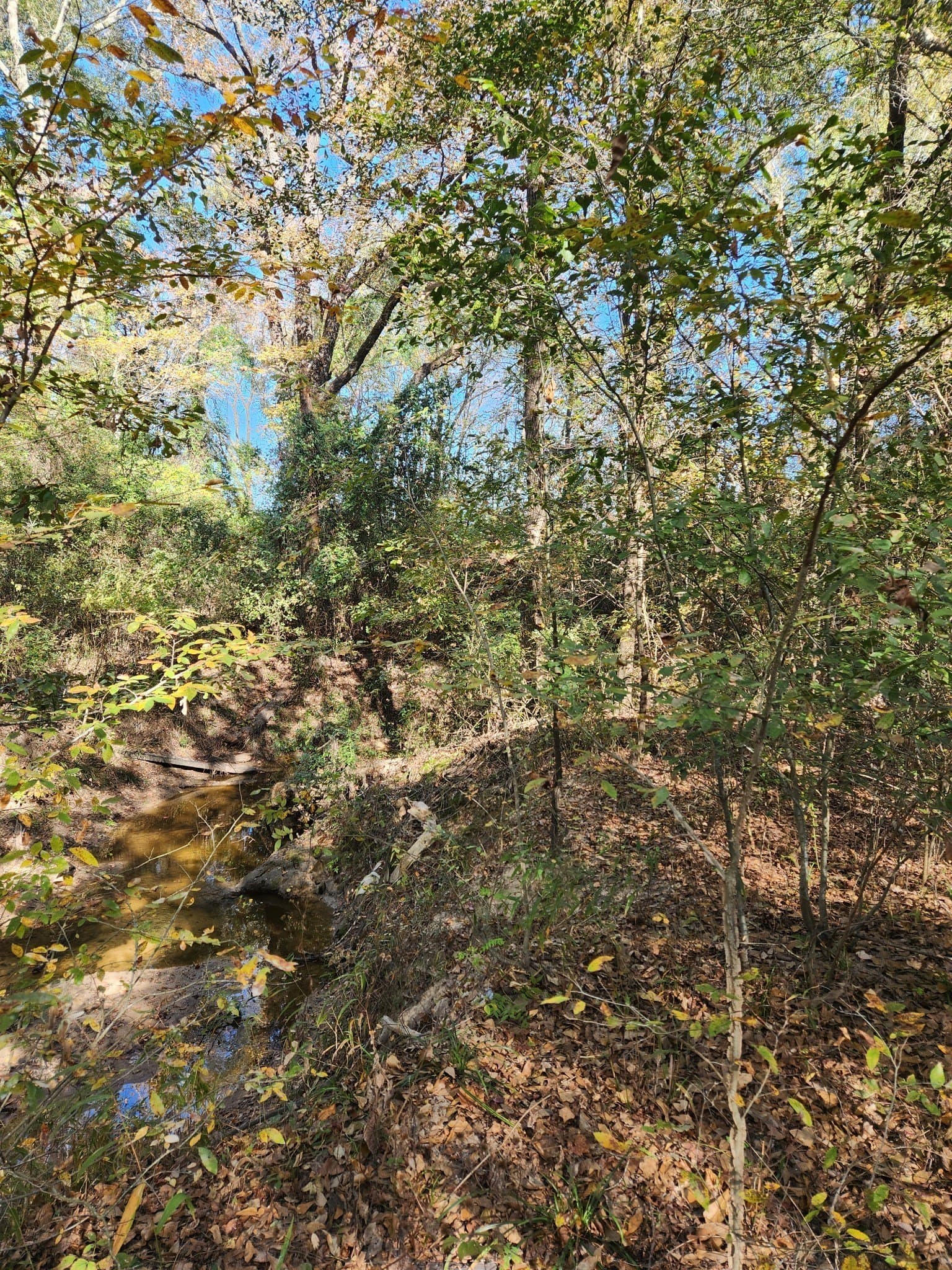 4.41 acres in Henderson County - photo 9