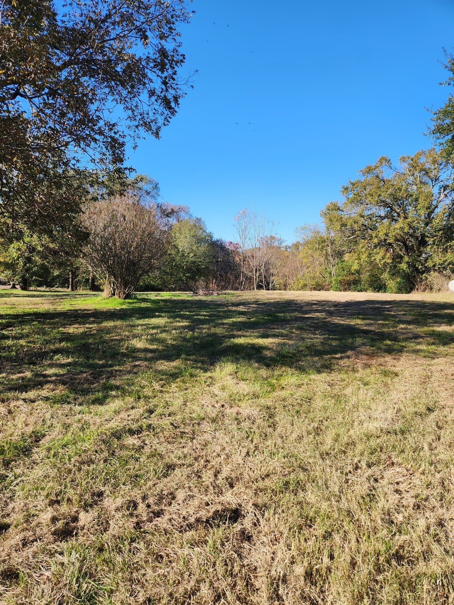4.41 acres in Henderson County gallery image 3