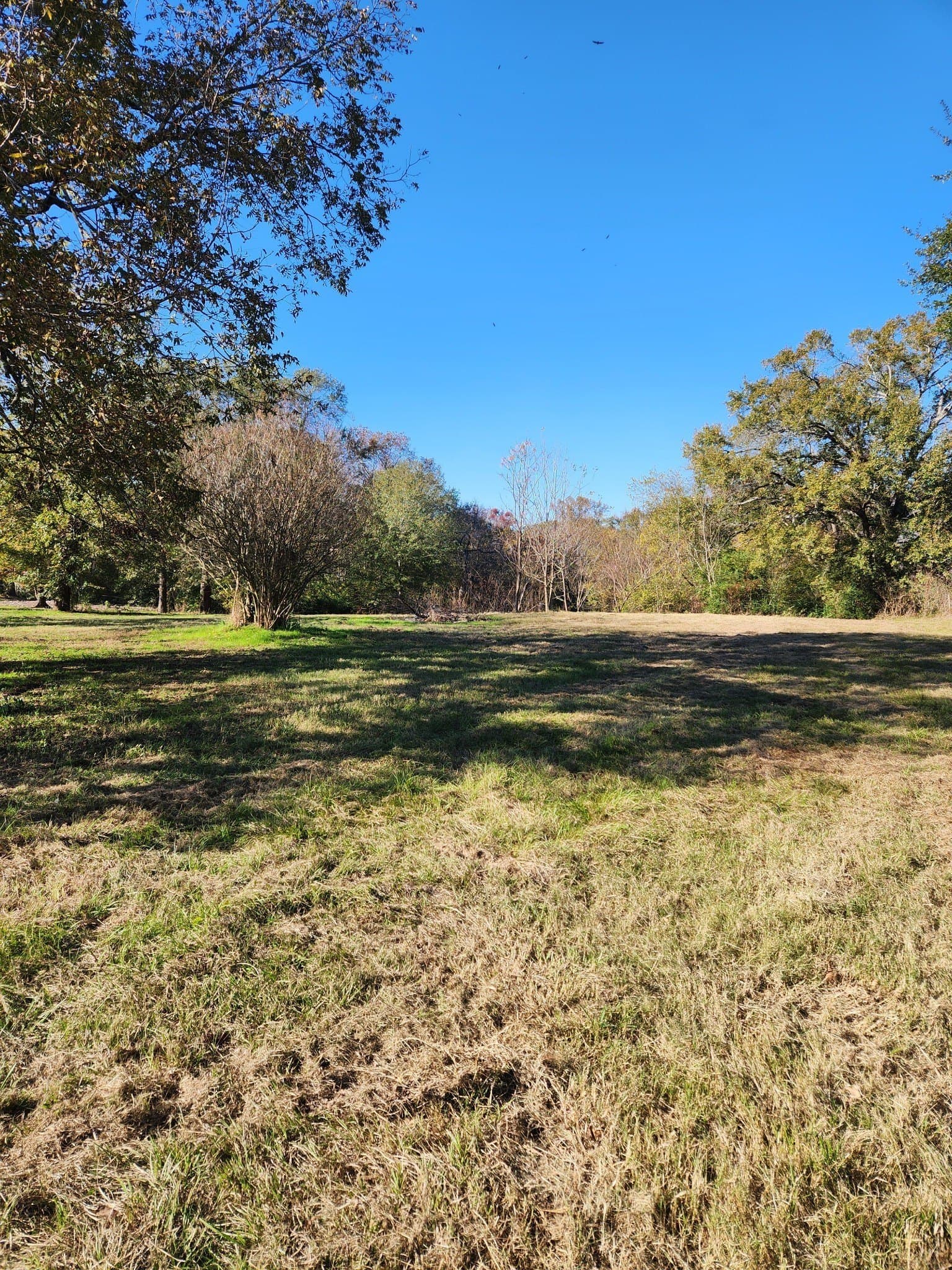 4.41 acres in Henderson County - photo 13