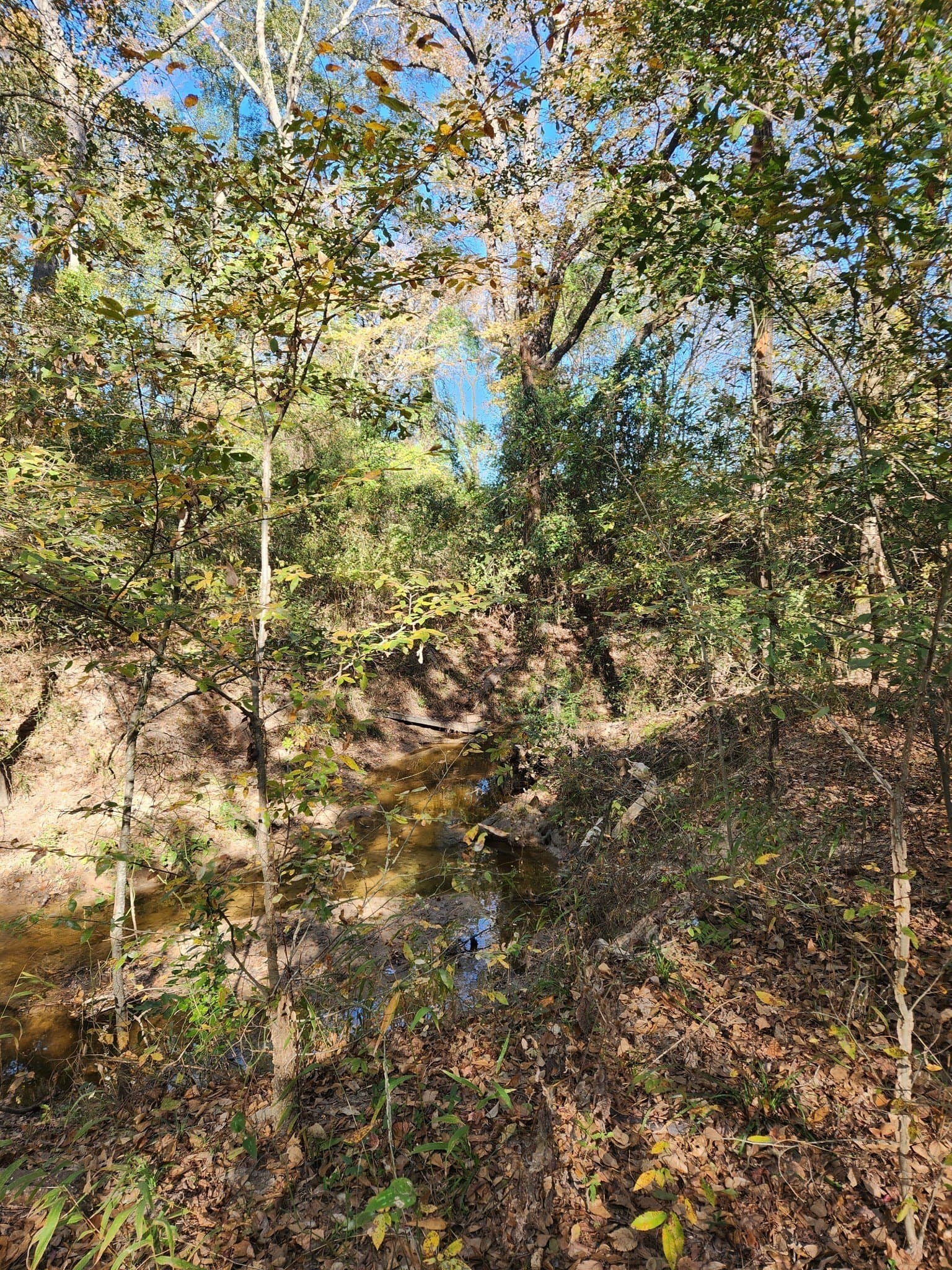 4.41 acres in Henderson County - photo 10