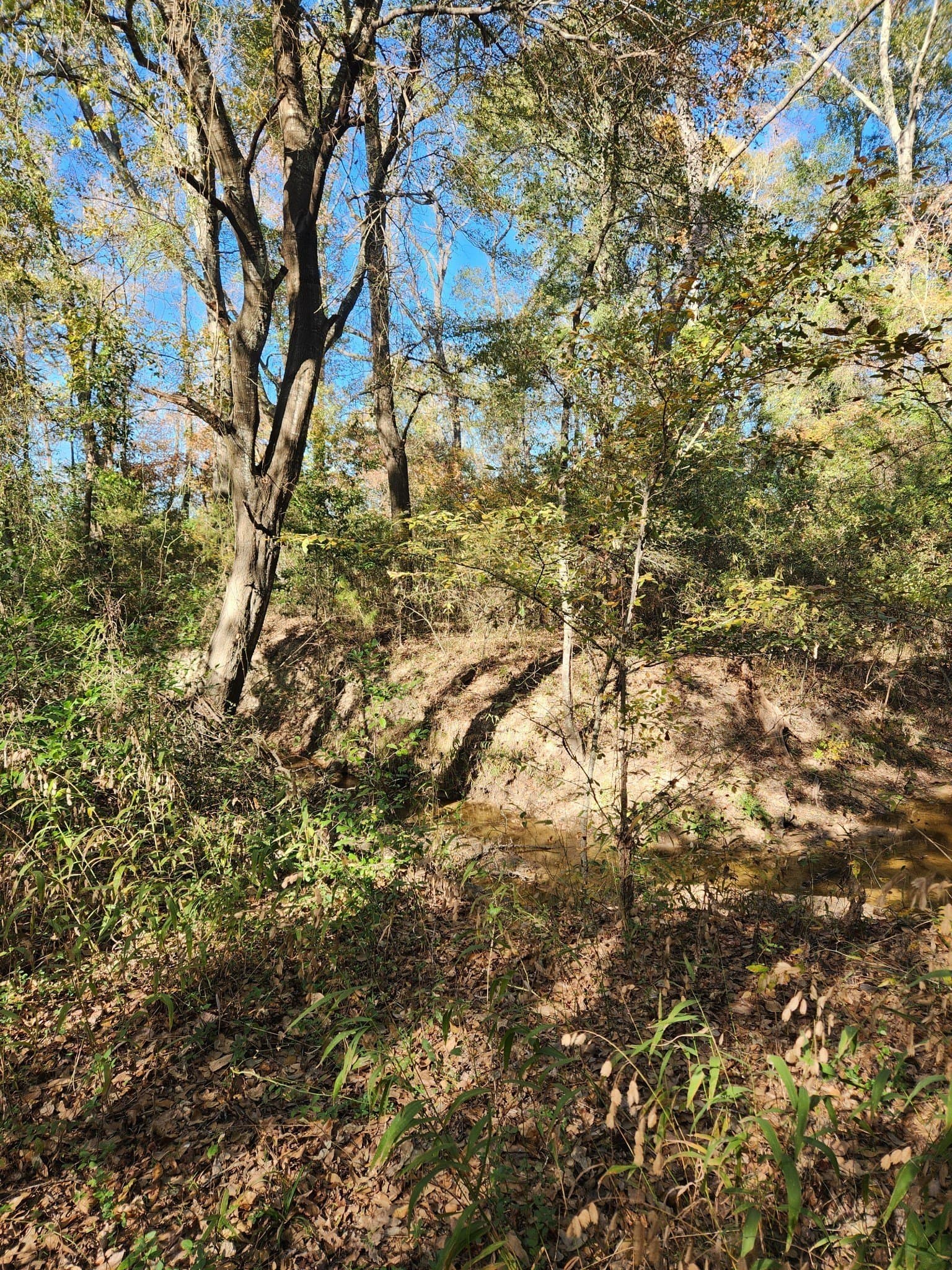 4.41 acres in Henderson County - photo 7