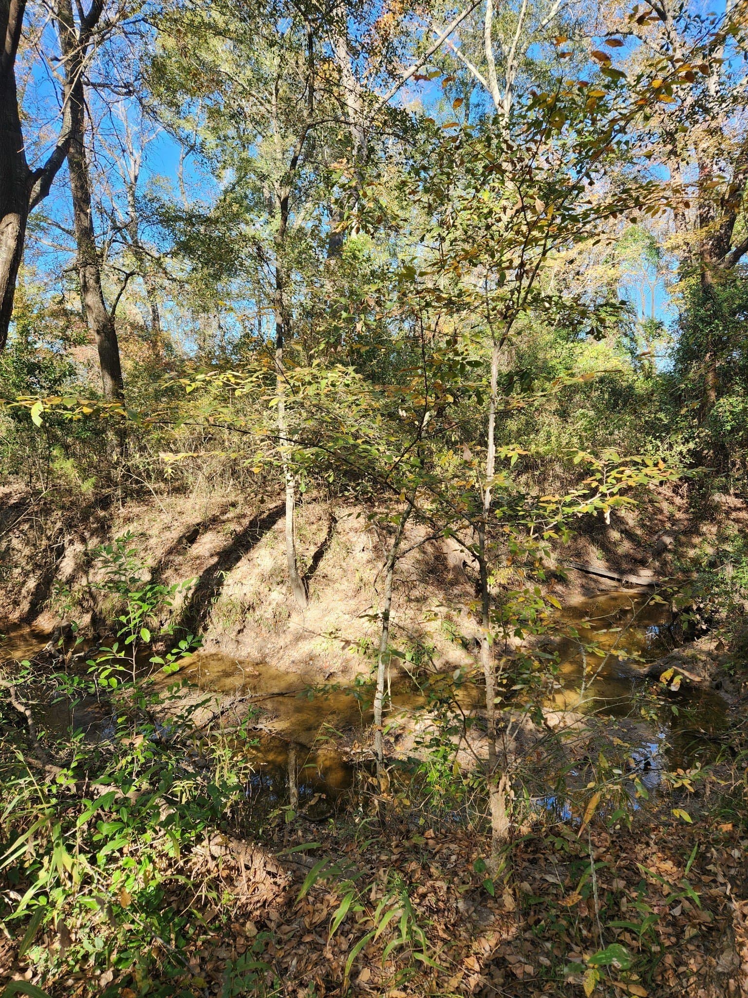 4.41 acres in Henderson County - photo 11