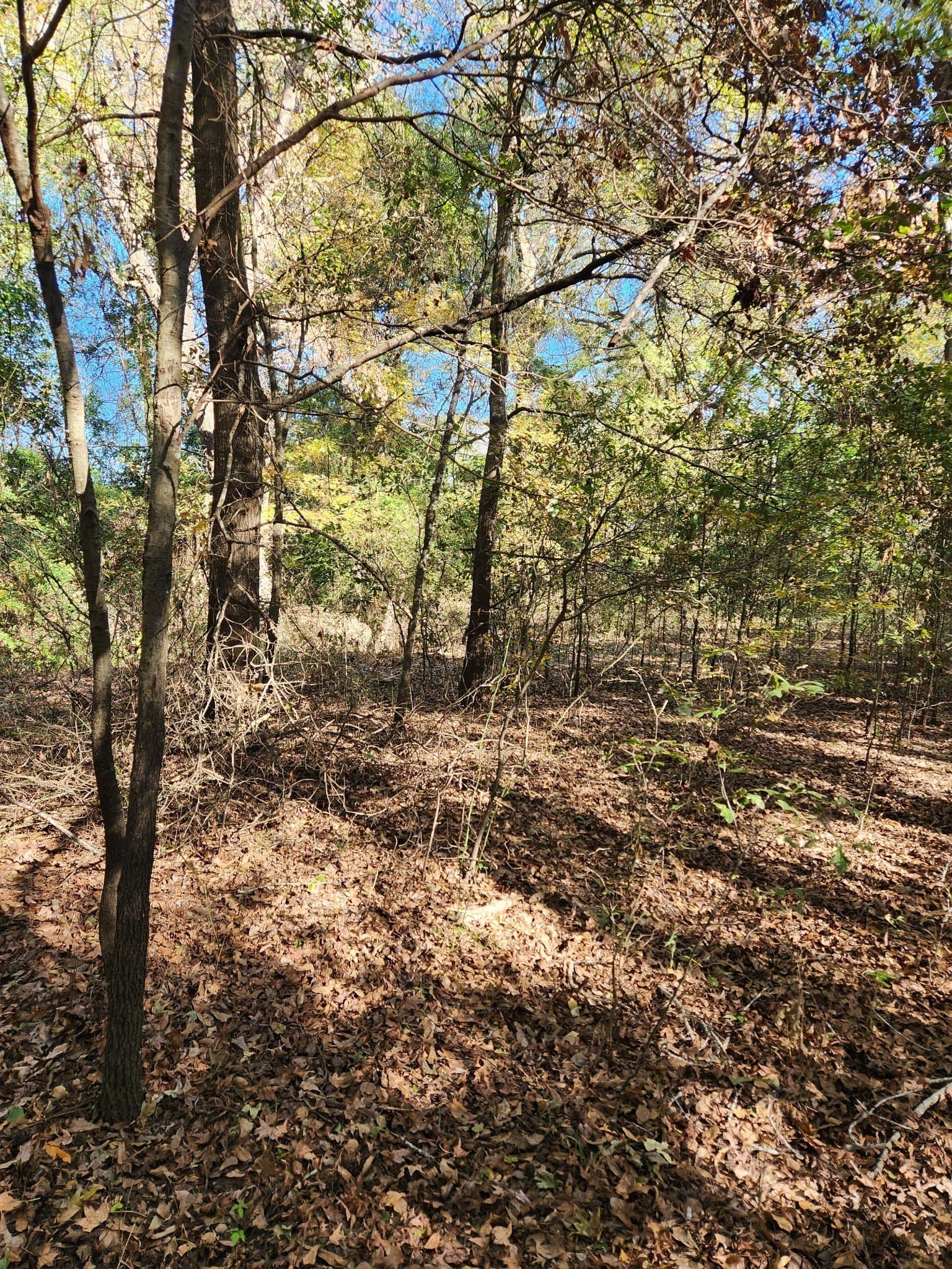 4.41 acres in Henderson County - photo 6