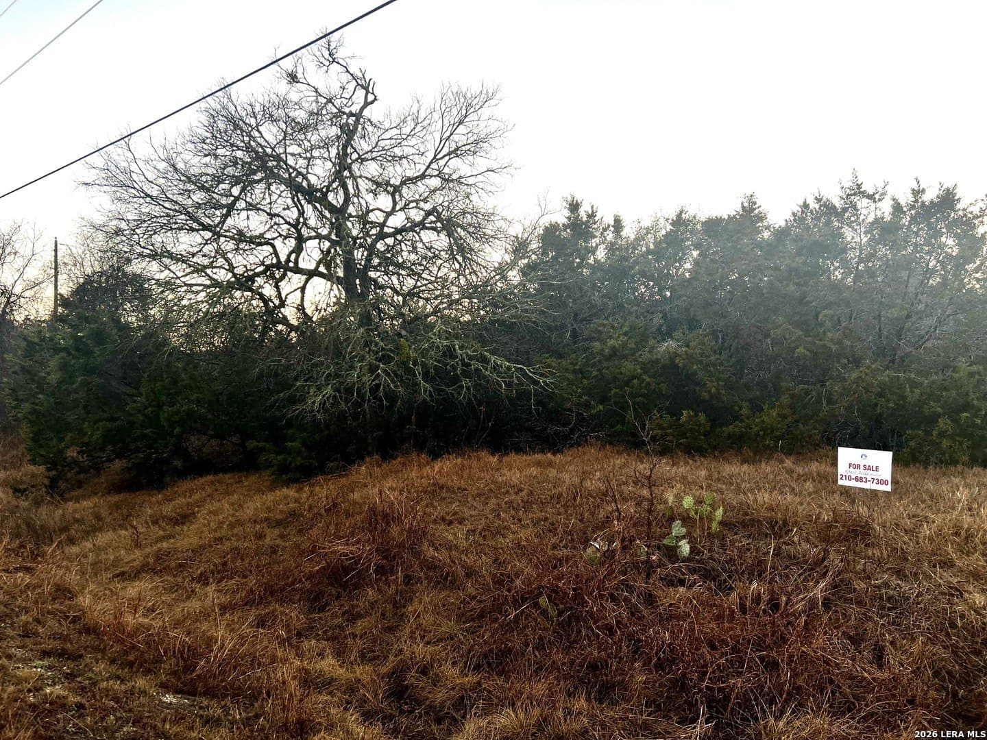 3.01 acres in Blanco County gallery image 2